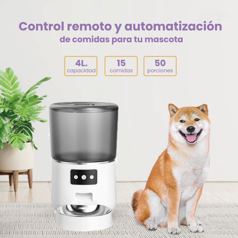 Alimentador Automático 4l Control Con App Mascota Perro Gato