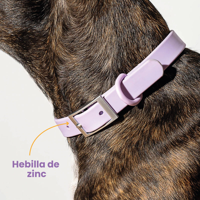 Kit de paseo para perros: correa, arnés, porta bolsas y collar. Arnés Anti-Tirones