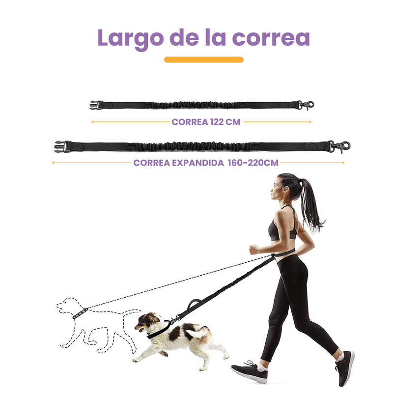 Cinturón manos libres / Banano + Correa para perros