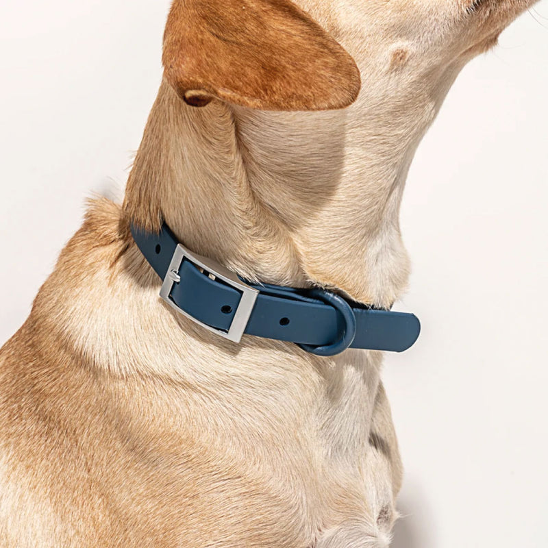 Kit de paseo para perros: correa, arnés, porta bolsas y collar. Arnés Anti-Tirones