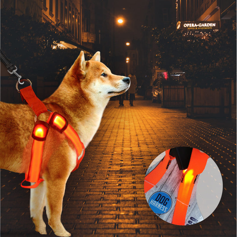 Arnés, cabestro, anti tirones con luz led para perros